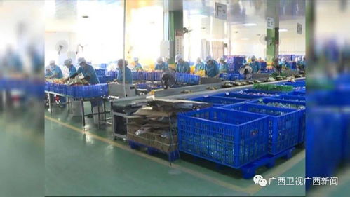 雙十一掀起年底消費(fèi)熱潮，食品銷售表現(xiàn)亮眼