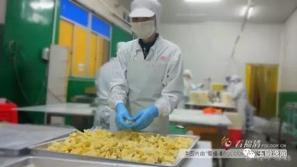念其善 賣“不起眼”的水果，年銷近2億元的食品銷售傳奇